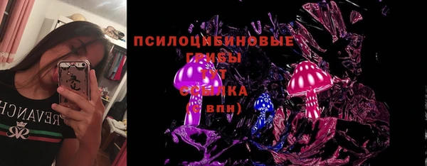ГАЛЛЮЦИНОГЕННЫЕ ГРИБЫ Гатчина