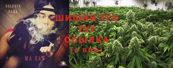дживик Балахна