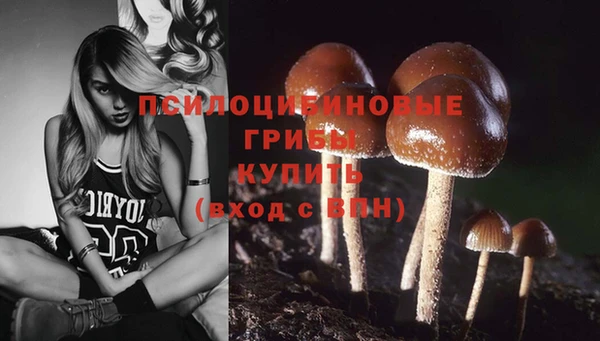 мдма Беломорск
