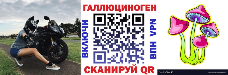закладки Ершов Галлюциногенные грибы Cubensis