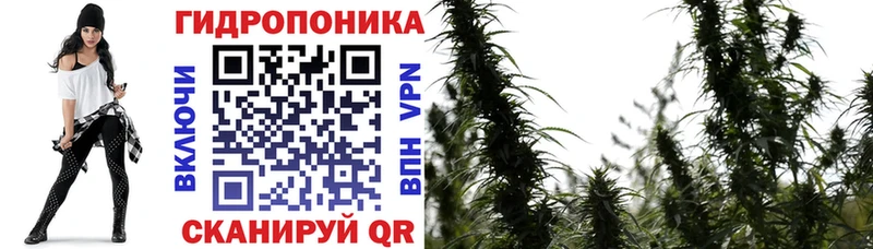 дарнет шоп  Ершов  Канабис план 